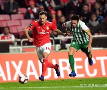 开云-窗口期葡超传出新动向，阿森纳主帅复盘，管理层表态：压力陡增，赛季目标并未改变的简单介绍